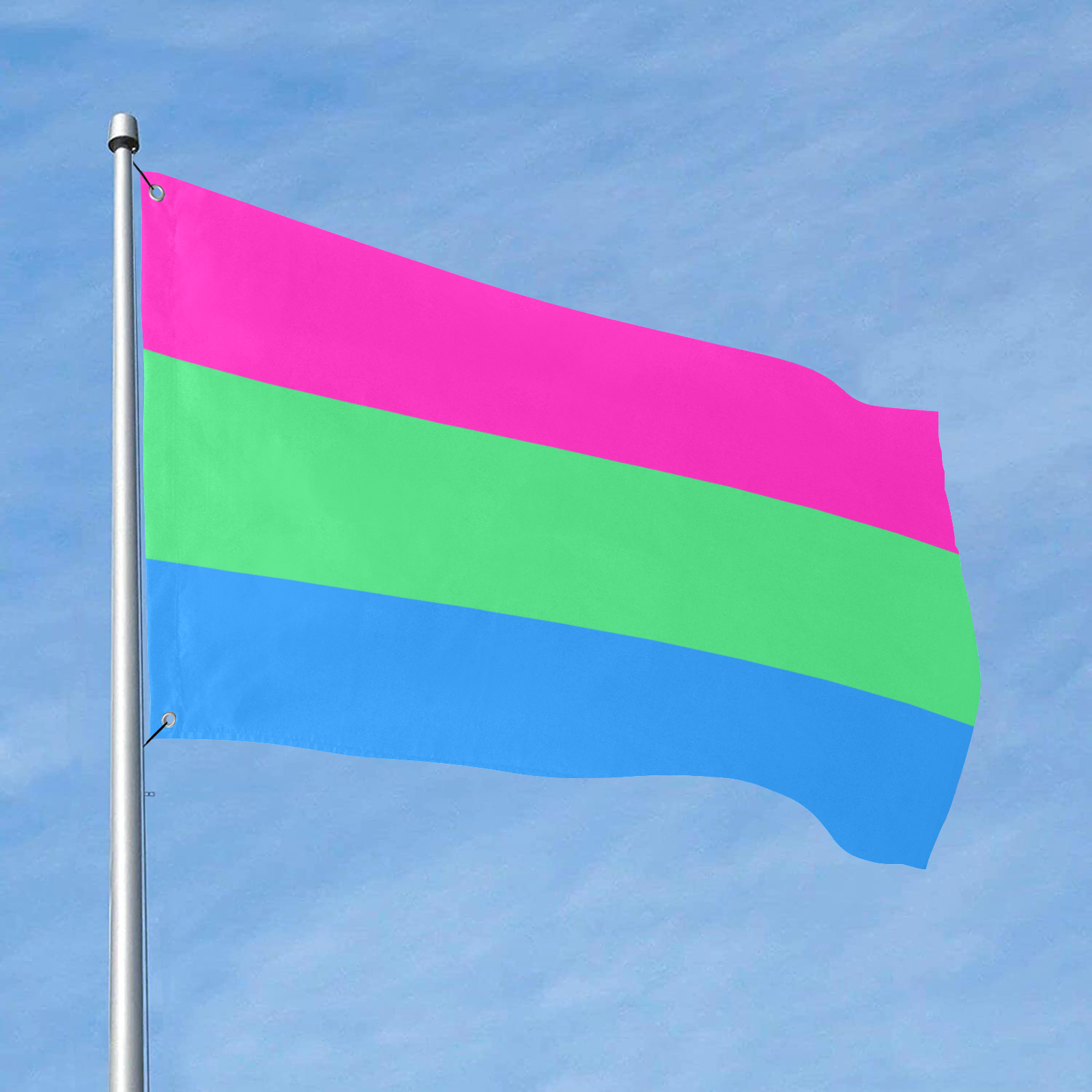 Polysexual Pride Flag