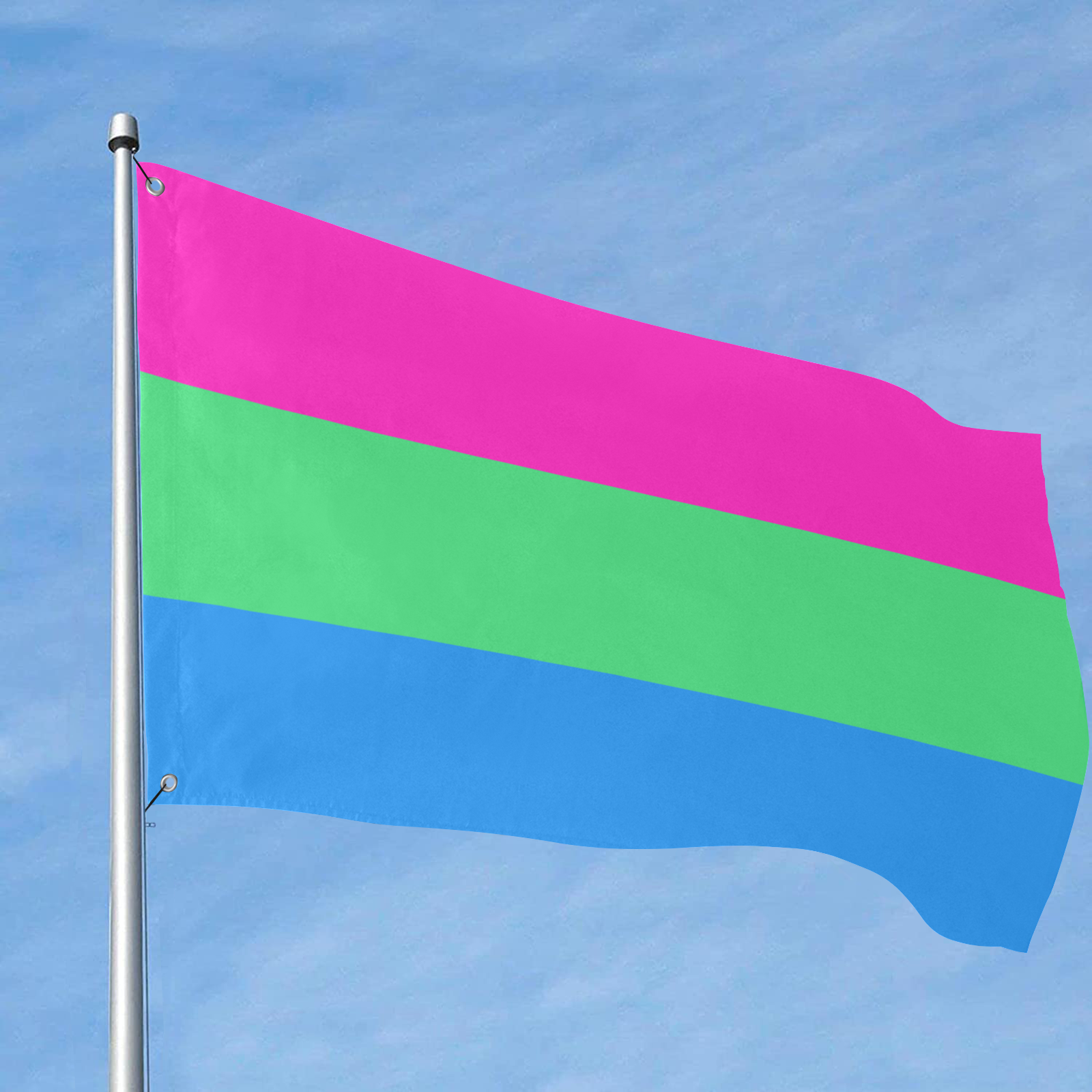 Polysexual Pride Flag