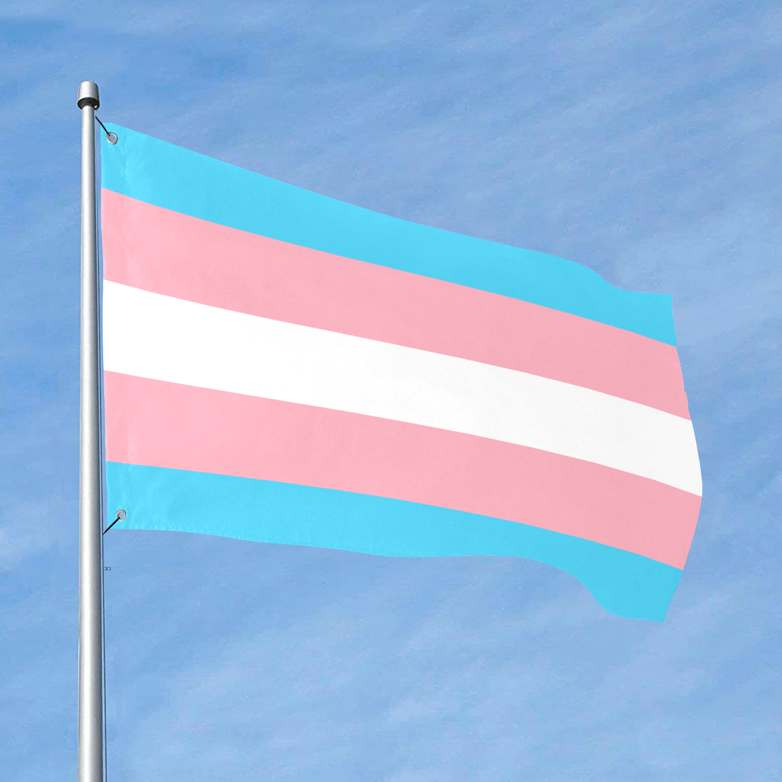 Transgender Pride Flag