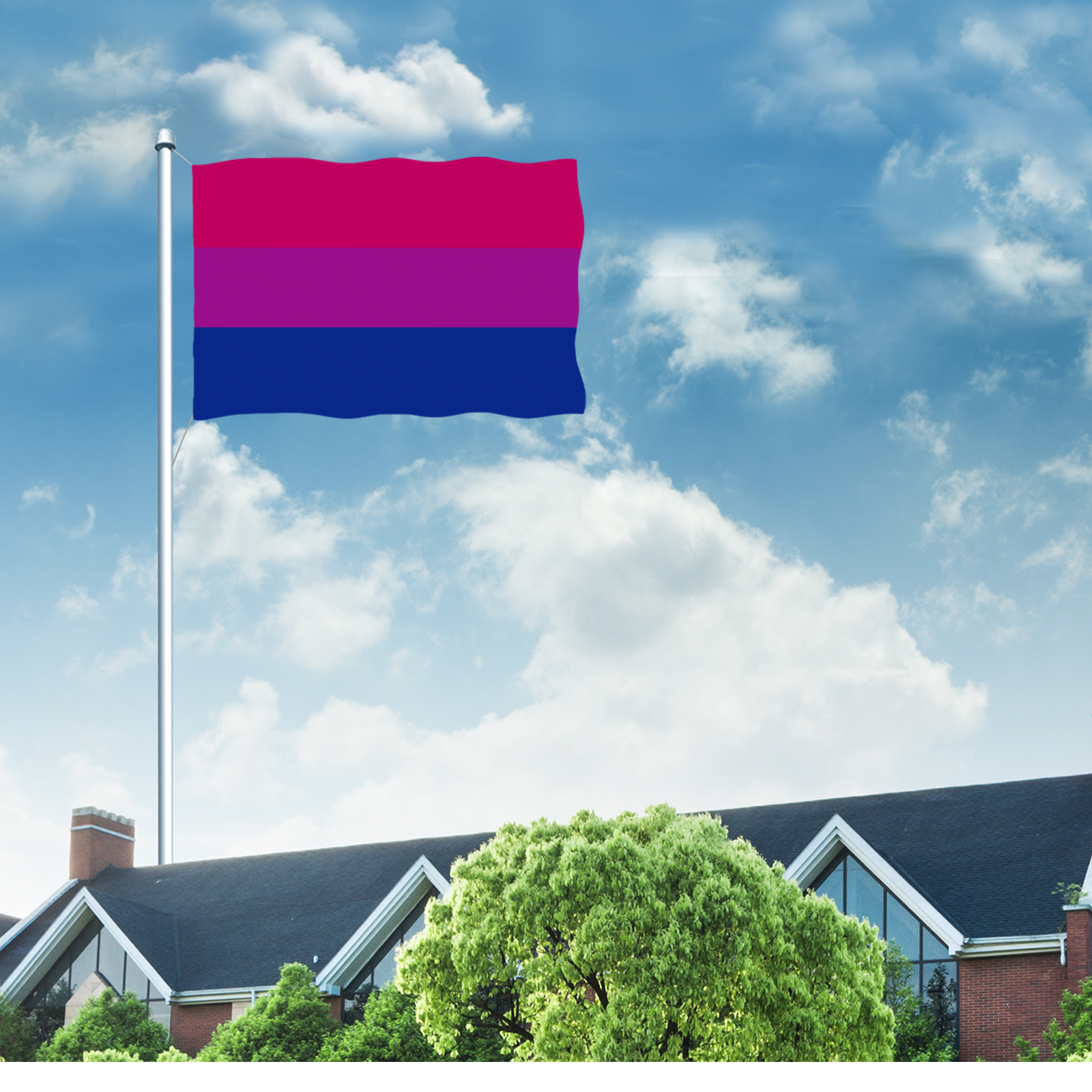 Bisexual Flag - Bi Pride Flag