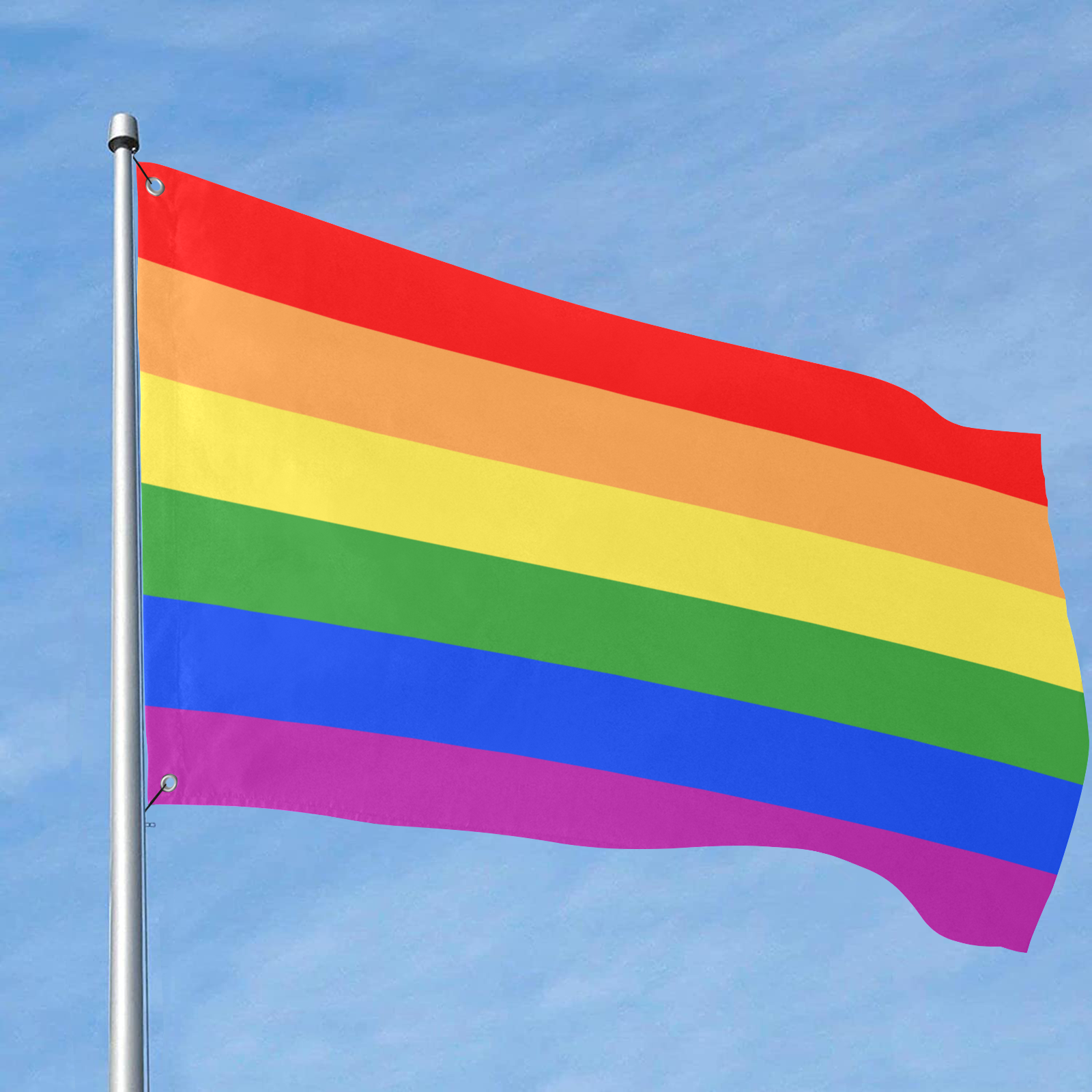 Gay Pride Rainbow Flag