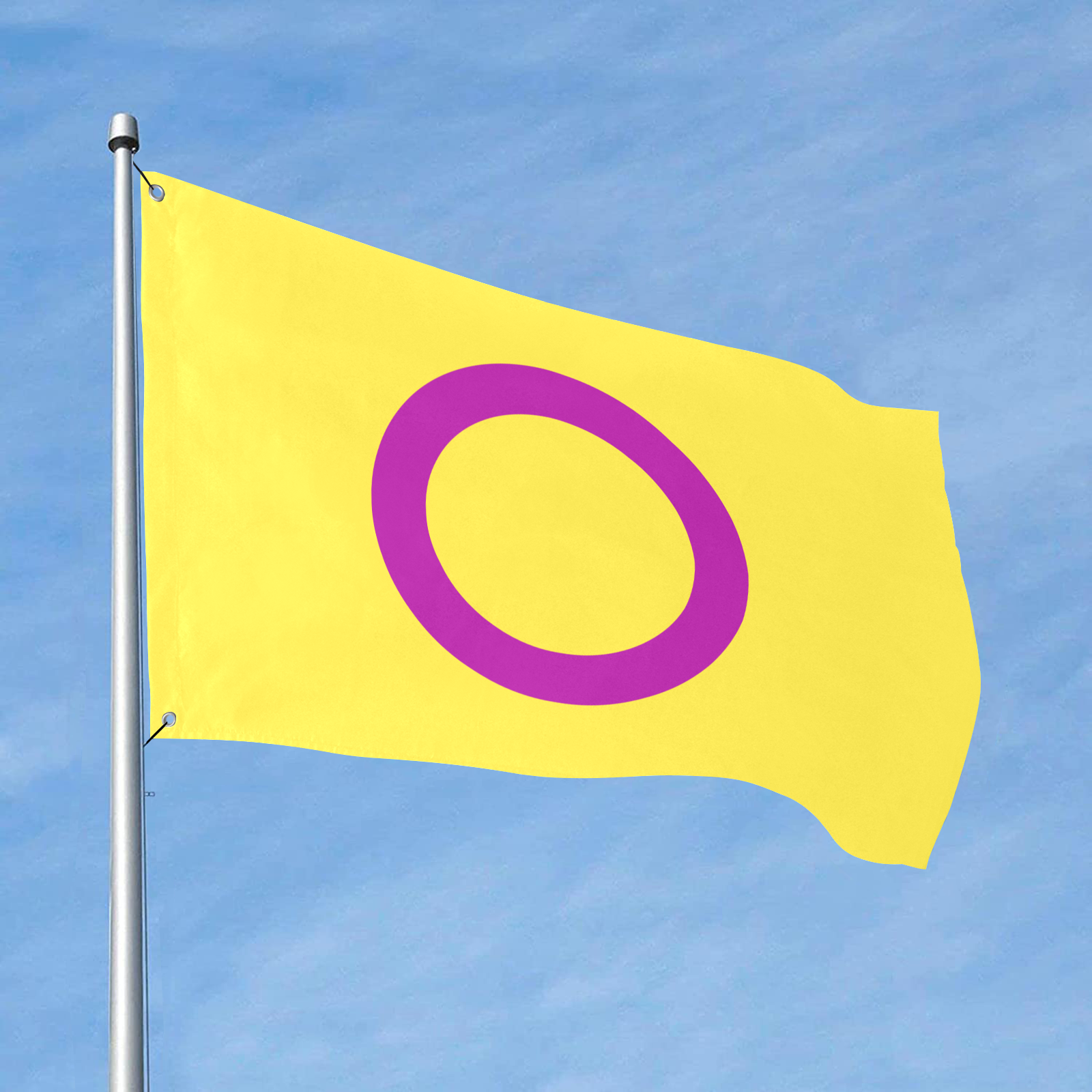 Intersex Flag