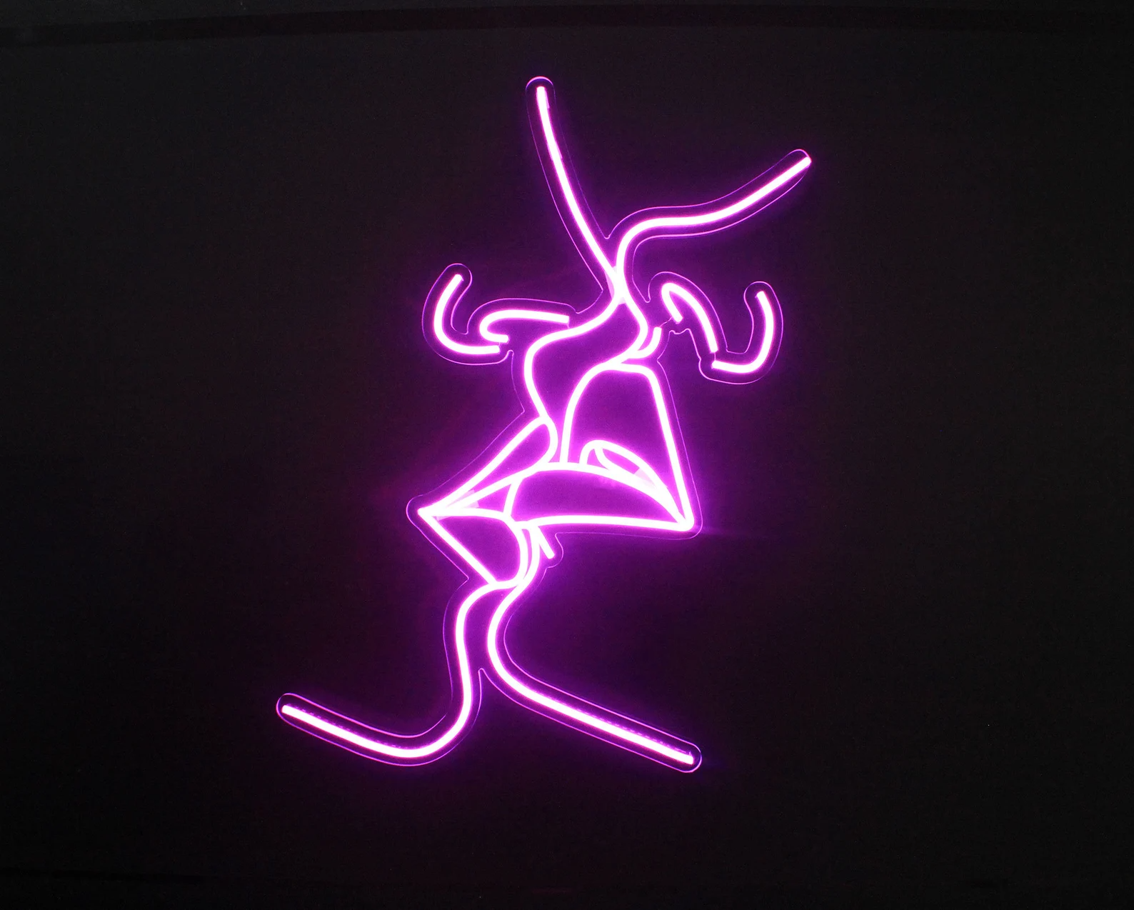 Lesbian Kiss Wall Art Neon Sign