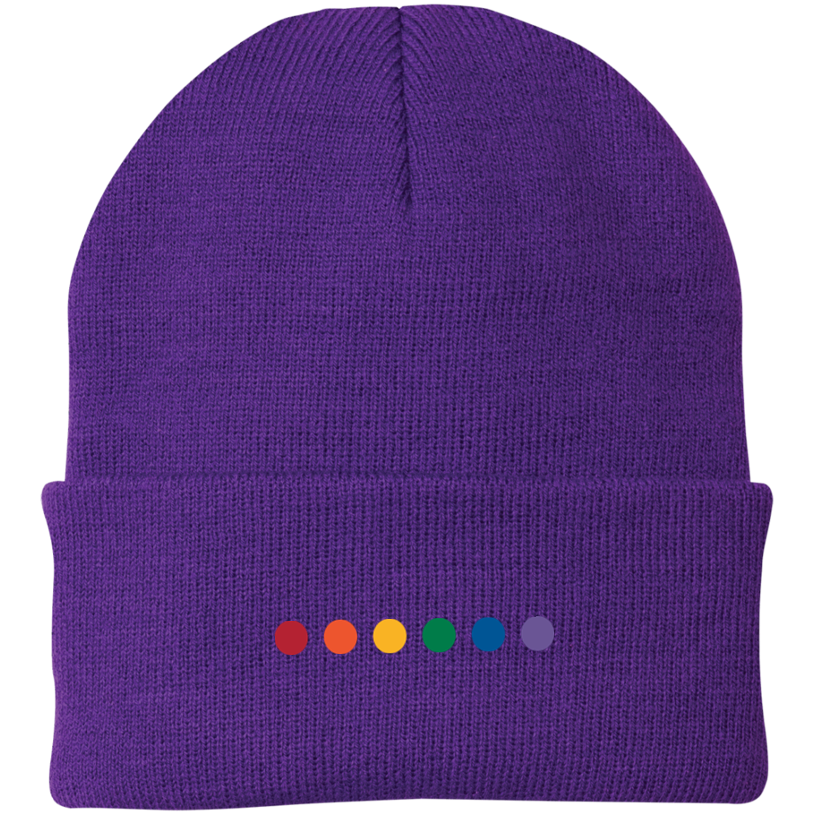 Meaningful Pride Beanie Winter Special