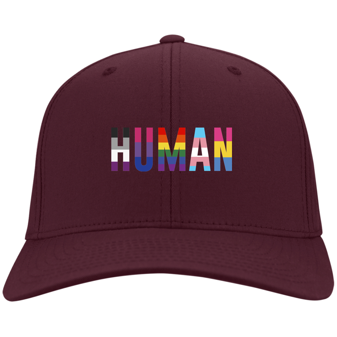 Human Pride Twill Cap